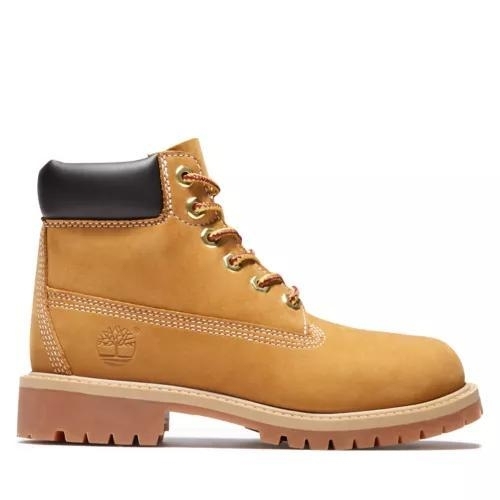 Youth Timberland Premium 6-Inch Waterproof Boots