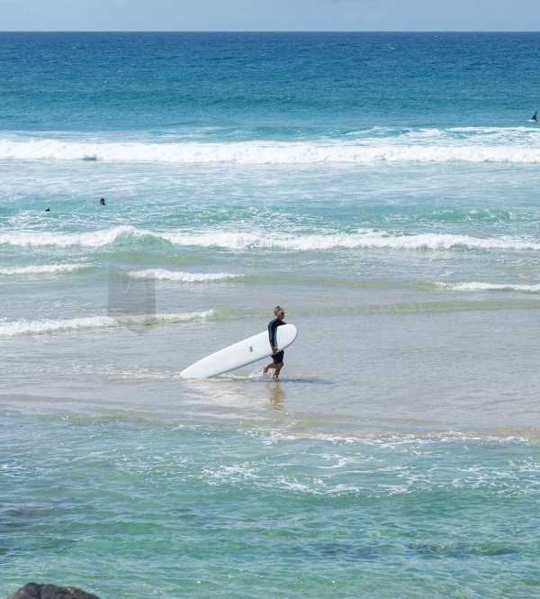 The Duke - White (Pu) -2021