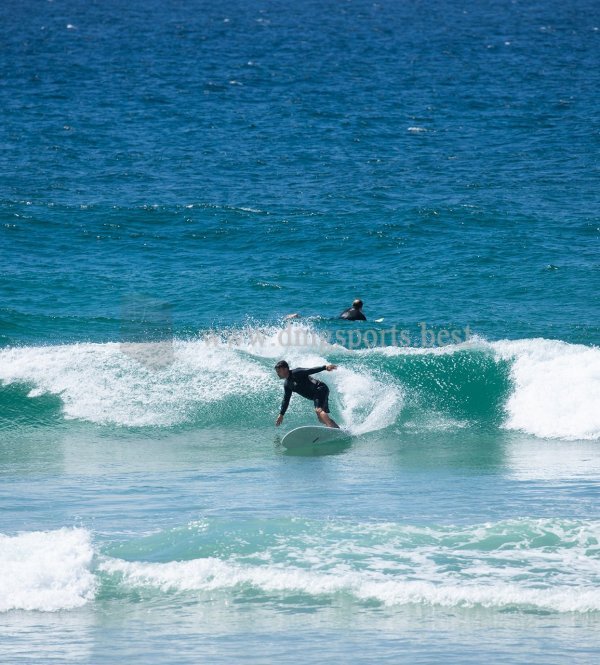 The Duke - White (Pu) -2021