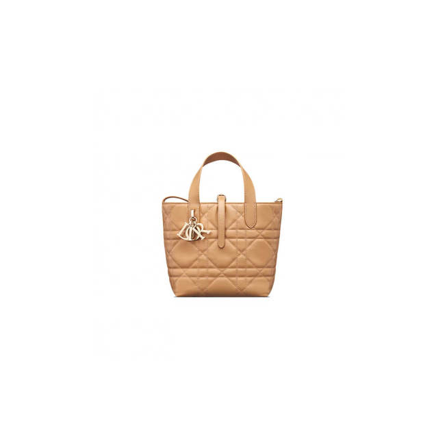 Small Dior Toujours Vertical Tote Bag