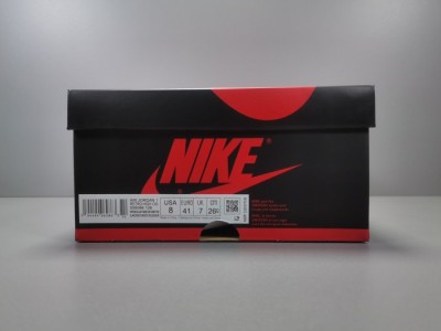 Jordan 1 Retro High Light Smoke Grey