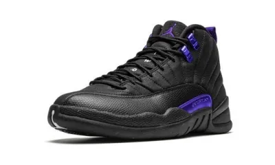 Air Jordans 12 'Dark Concord'