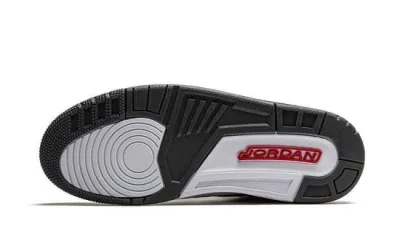 Air Jordans 3 Cool Grey CT8532-012