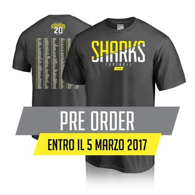 Helmet Grey-Black Hoodie