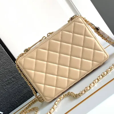 CHANEL CAMERA BAG