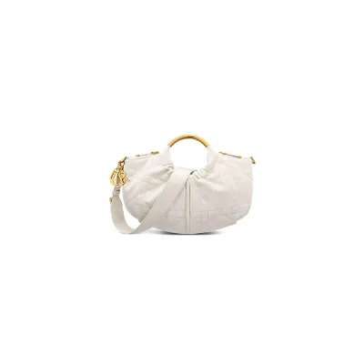 Dior Walk in Dior Purse