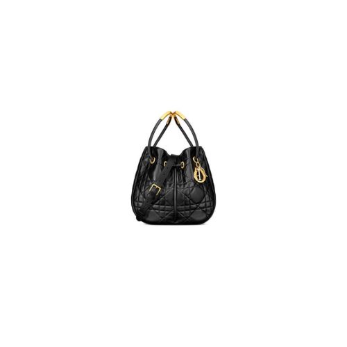 Medium Dior Nolita Bag