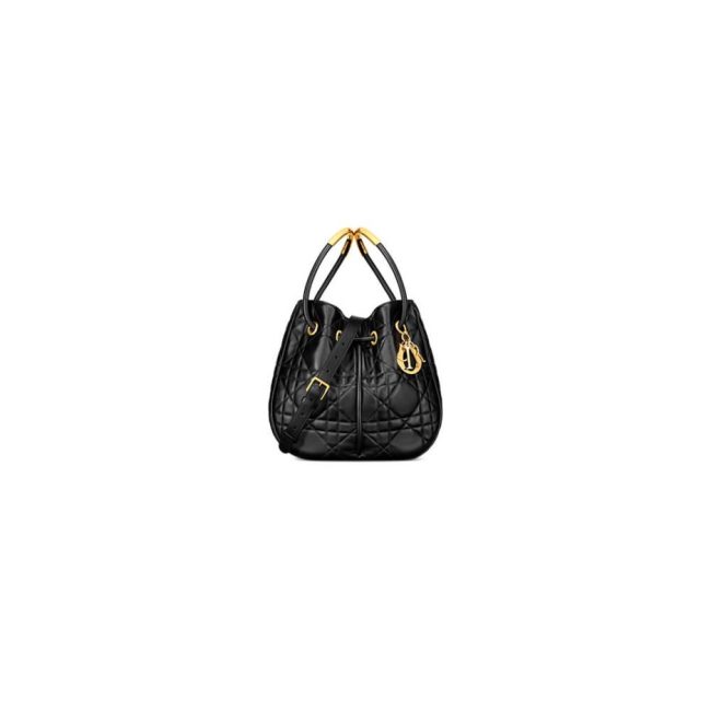 Medium Dior Nolita Bag