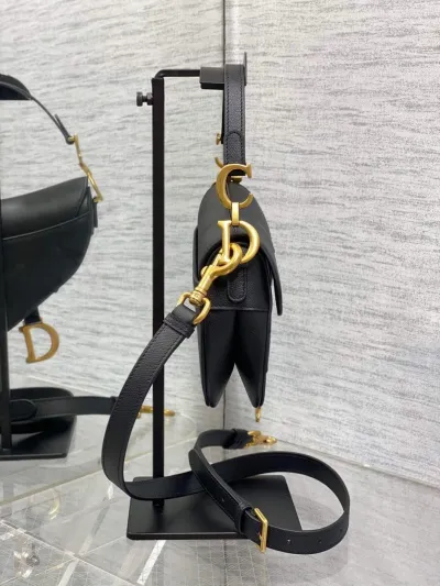 DIOR Mini Saddle Bag with Strap