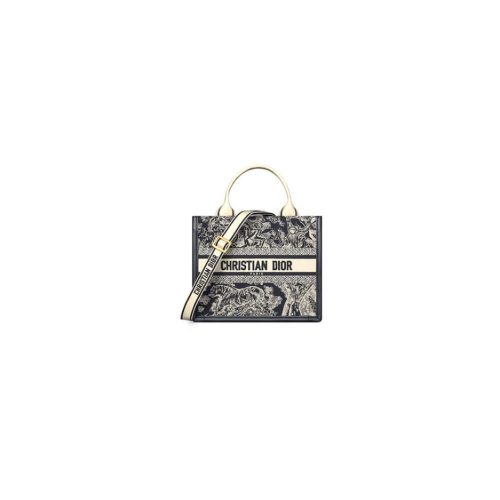 Small Dior Book Tote