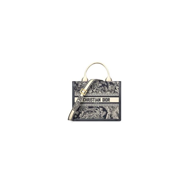 Small Dior Book Tote
