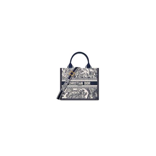 Small Dior Book Tote