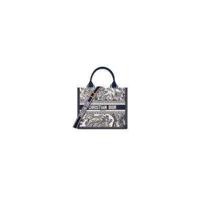 Small Dior Book Tote