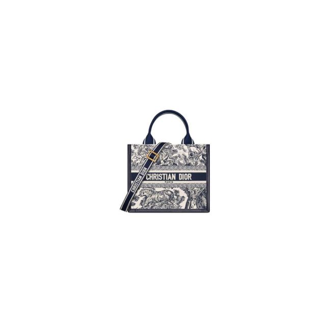 Small Dior Book Tote