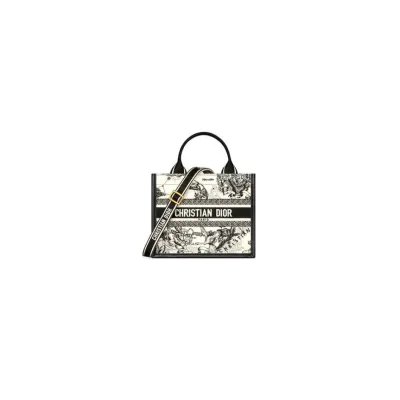 Small Dior Book Tote