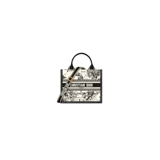 Small Dior Book Tote