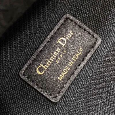 Dior Medium Lady D-Lite Bag