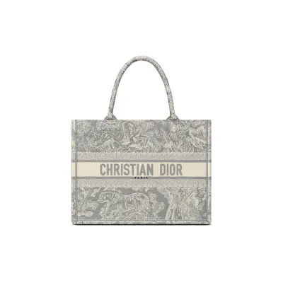 SMALL DIOR BOOK TOTE