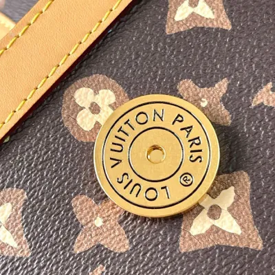 LV messenger bag