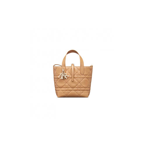 Small Dior Toujours Vertical Tote Bag